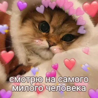 🥰