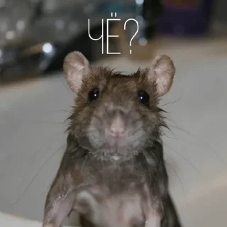 🧐