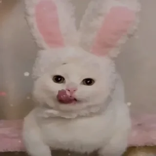 😋