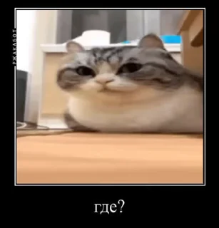 🧐