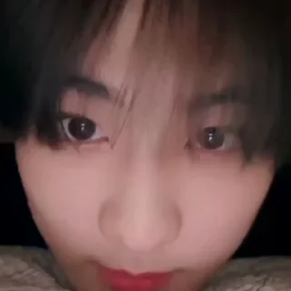 🐈