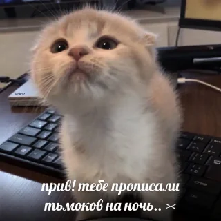 💋