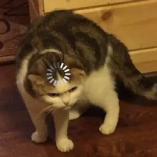 😐