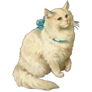🐱