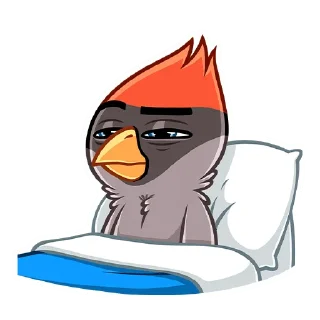 😴