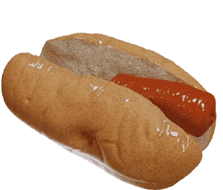 🌭