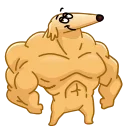 💪