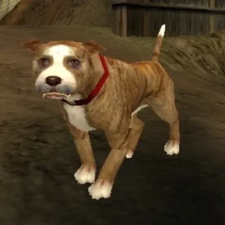 🐕