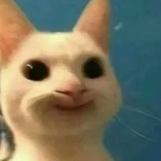 😳