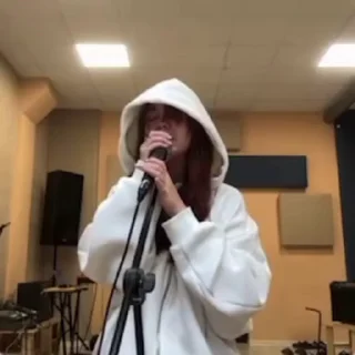 🎤