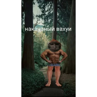 🐵