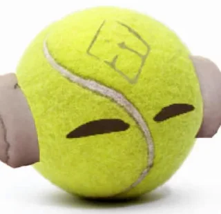 🎾