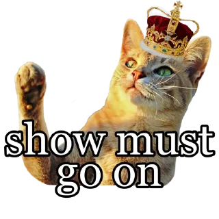 ✊