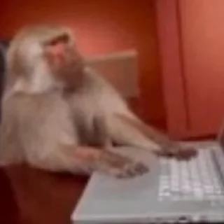 💻