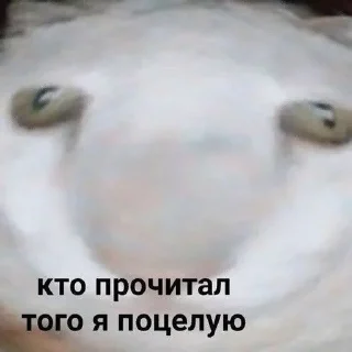 😳