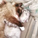 💏
