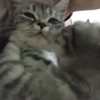 😘
