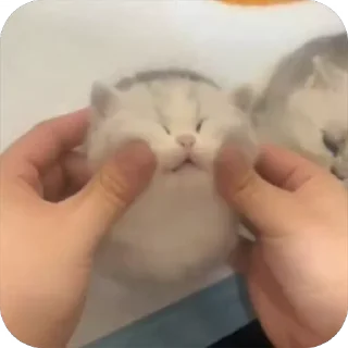 🥱
