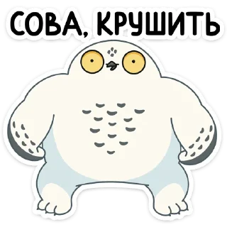💪