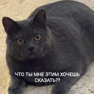 😳