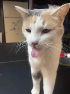 😛