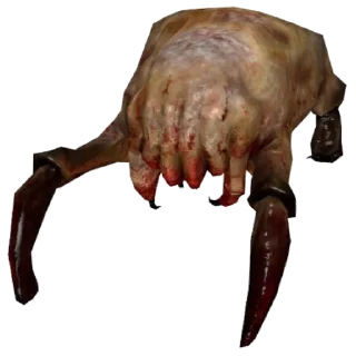 Half life
