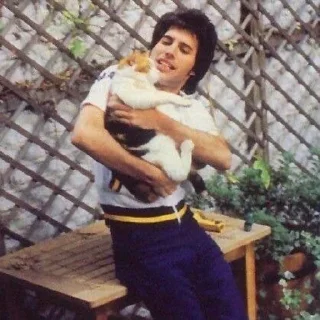 🐱