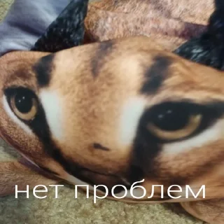 😳