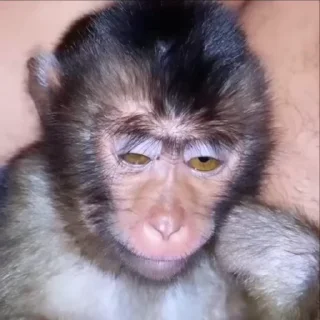 😆