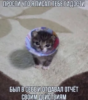 😌