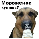 🍦