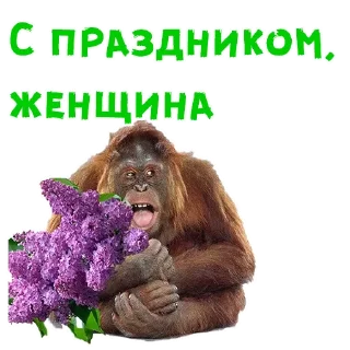 🌹