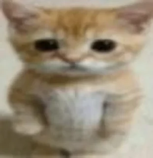 🫶