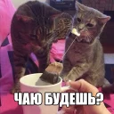 ☕