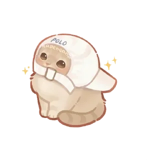 🌟