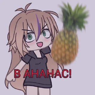 🍍
