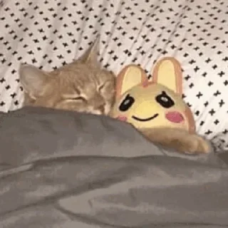 😴