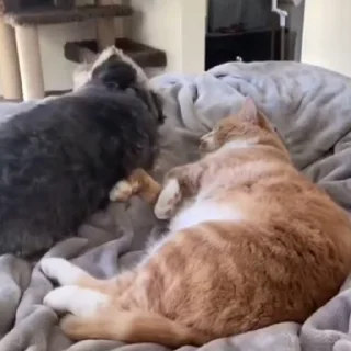 ❤