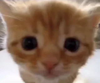 🤨
