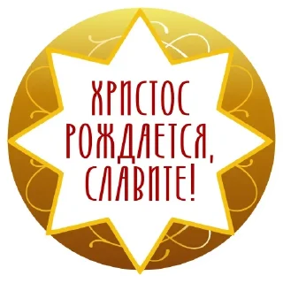 ✨