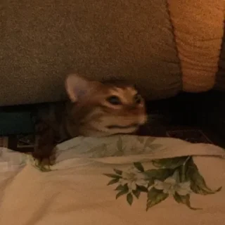 🛏
