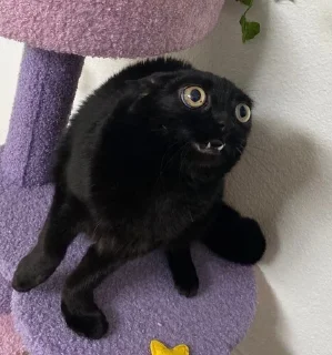 😨