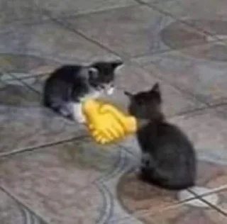 😺