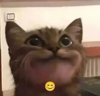 😊
