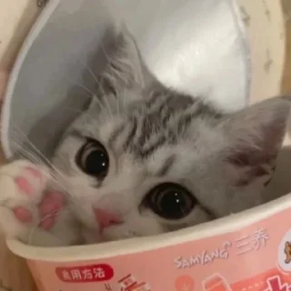 😊