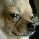 😭