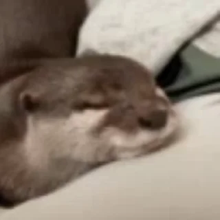 💞