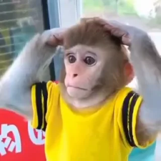 😱