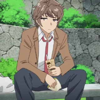 Sakuta etc @ciseauxx
