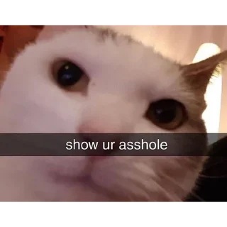 😻